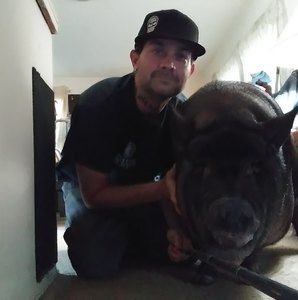 Meet your Posher, John